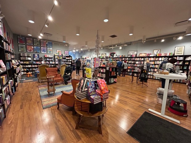 Inside Chevalier's Books in the Larchmont neighborhood of Los Angeles on November 2, 2024. (Photo by Erik Pedersen/SCNG)