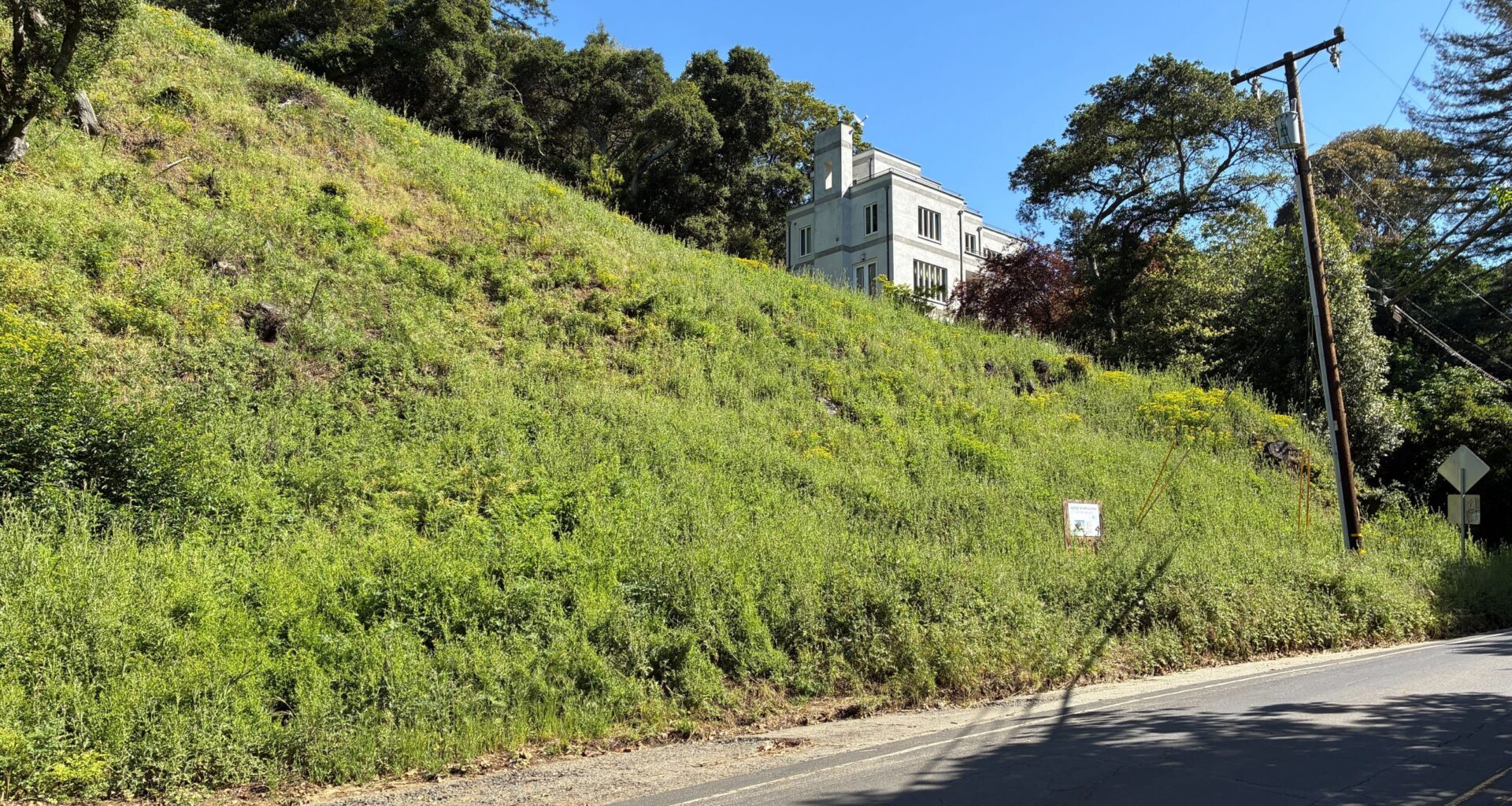 Landowners who cut 38 trees in Oakland hills hit with $915,000 fine