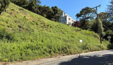 Landowners who cut 38 trees in Oakland hills hit with $915,000 fine