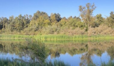 Fresno approves $5m San Joaquin River trail extension west of 41