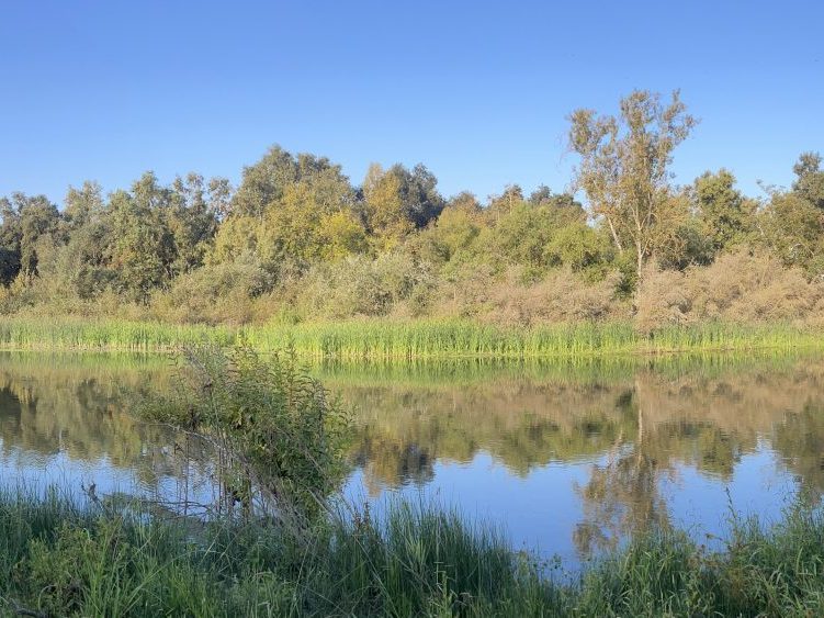 Fresno approves $5m San Joaquin River trail extension west of 41
