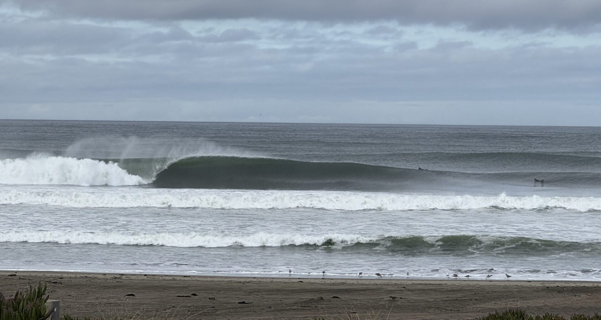 Surfer Dies In Unseasonably Large Swell At Ocean Beach