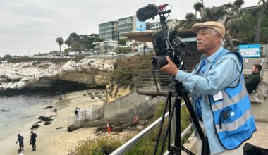 New warning signs posted at La Jolla Cove for sea lion pupping season – NBC 7 San Diego