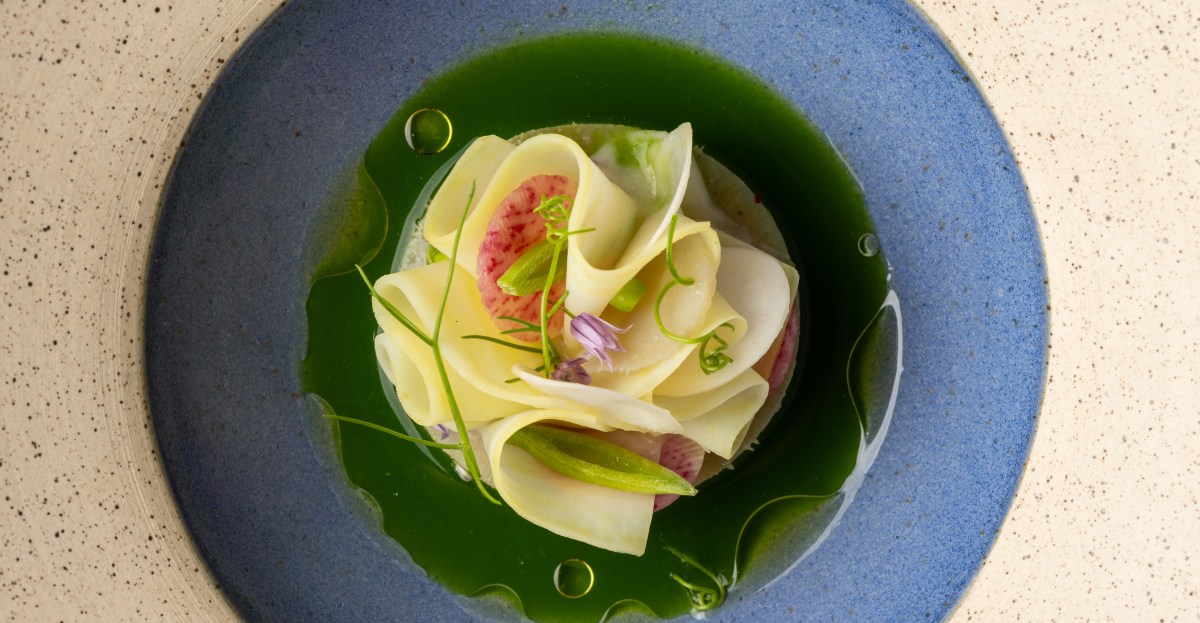 Jacaranda Opens in Hollywood Just as the City’s Famous Trees Hit Peak Purple