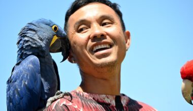 Chan the Birdman takes flight in Los Angeles County, reshaping how the county cares for birds – Daily News