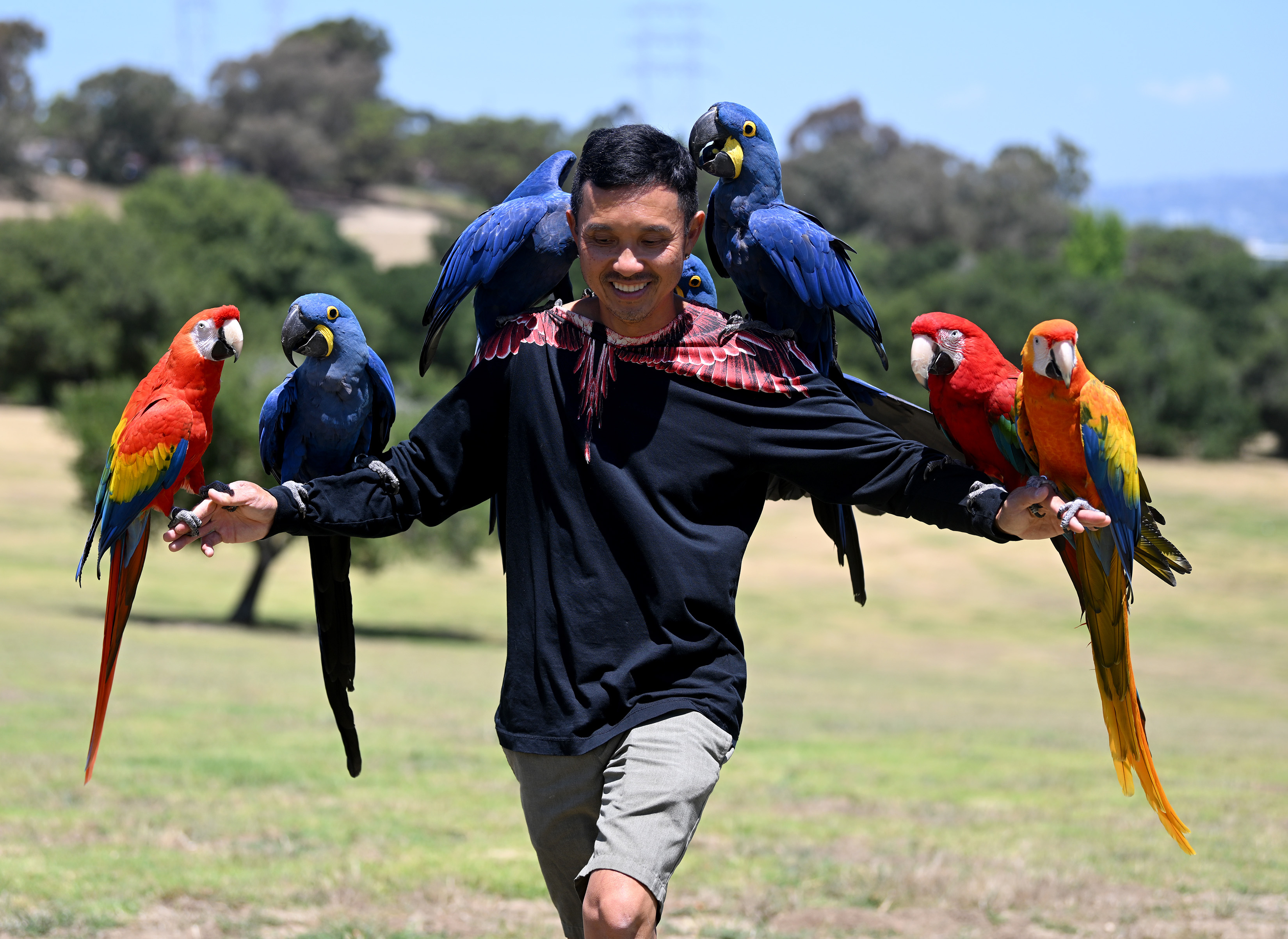 Chan Quach, known as âChan the Birdman,âa Los Angeles-based professional...