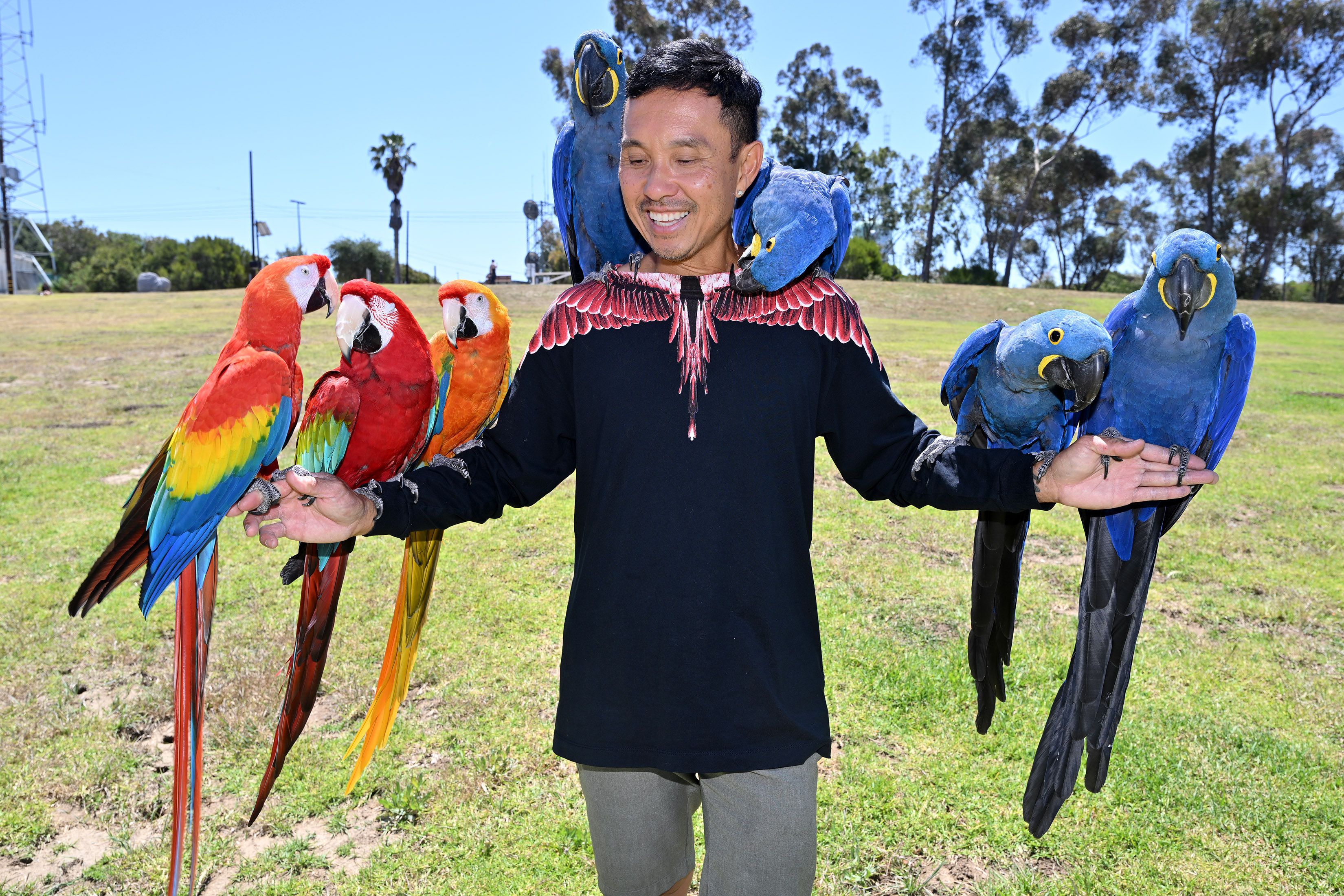 Chan Quach, known as âChan the Birdman,âa Los Angeles-based professional...