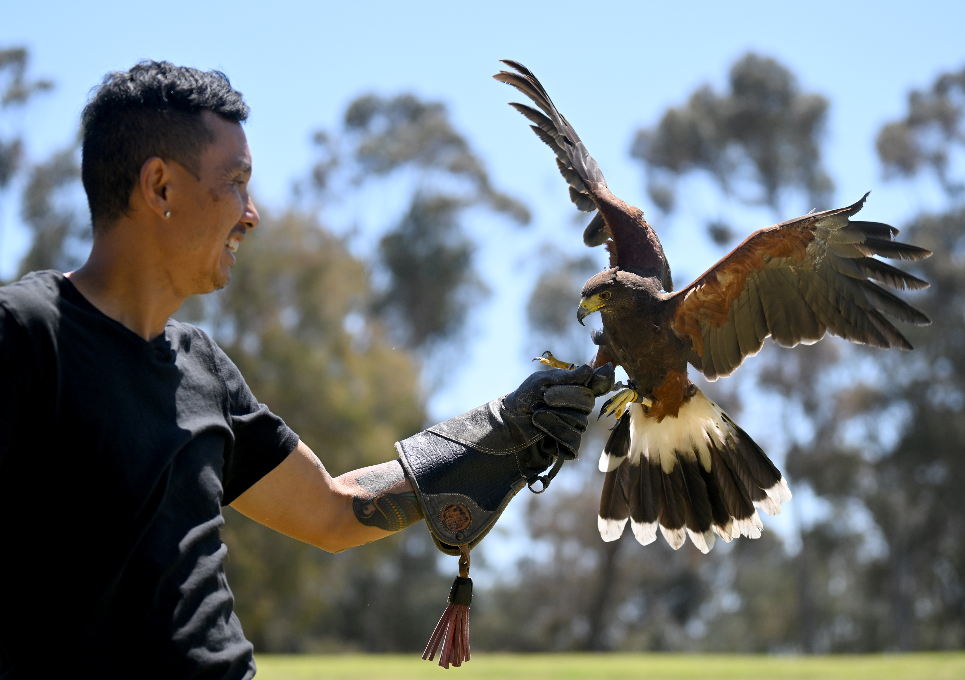 Chan Quach, known as âChan the Birdman,âa Los Angeles-based professional...