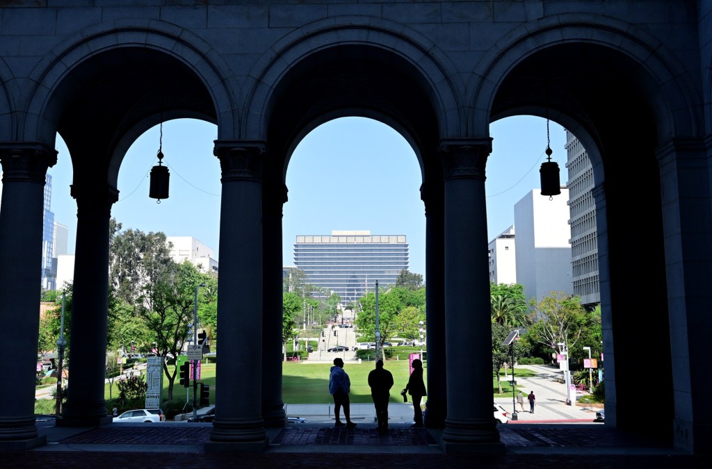 LA begins review of charter reform plan that could reshape City Hall – Daily News