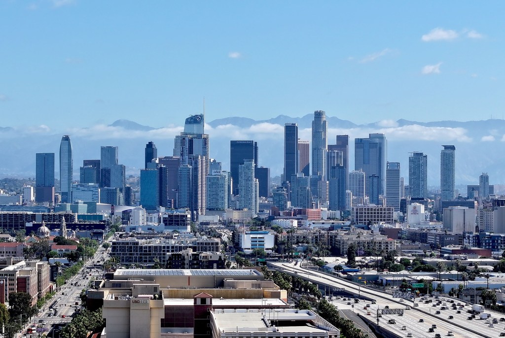 Adam Miller: Before you vote, ask who can actually run Los Angeles – Daily News