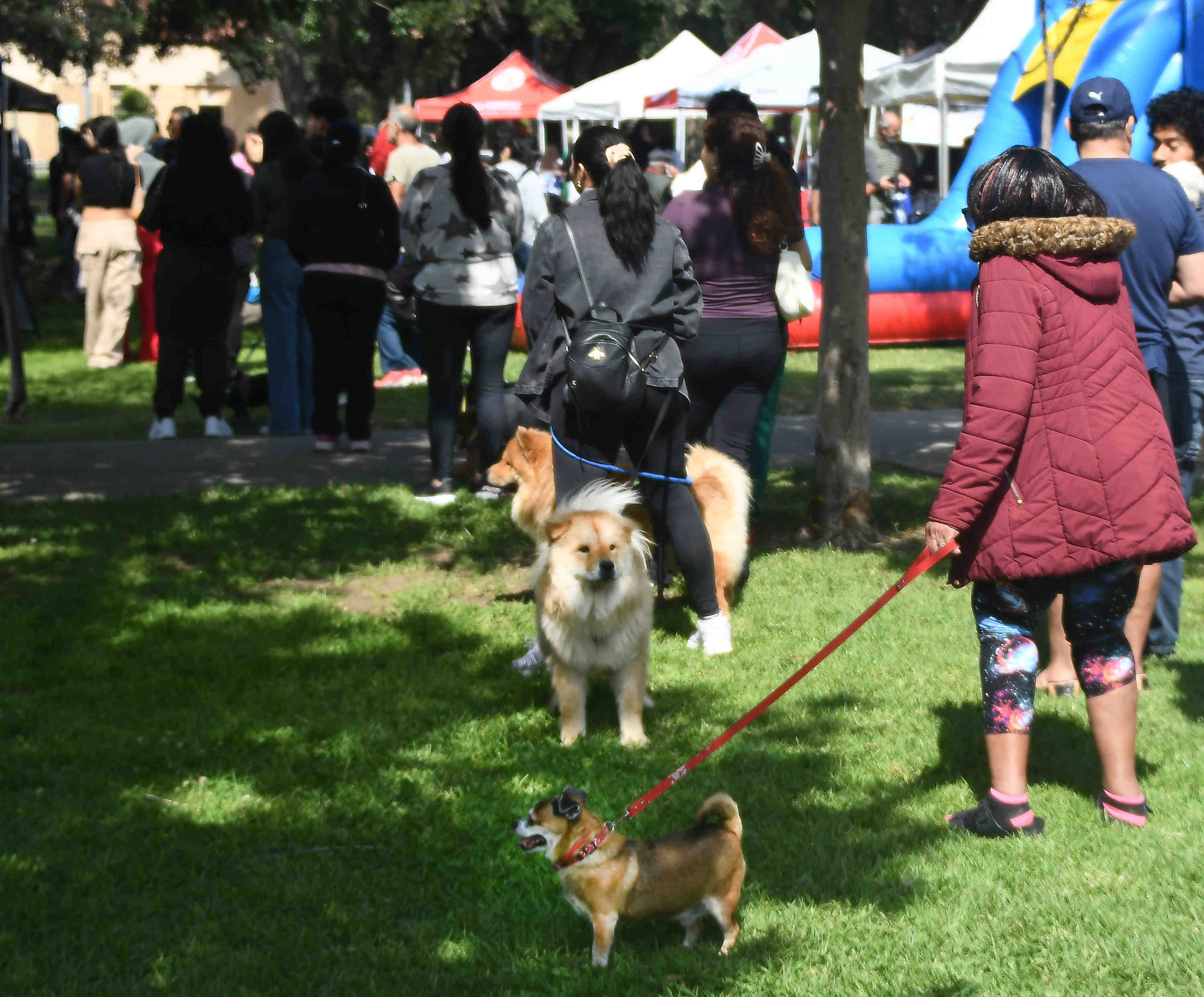 People arrive with there pet during the LA Councilwoman Monica...