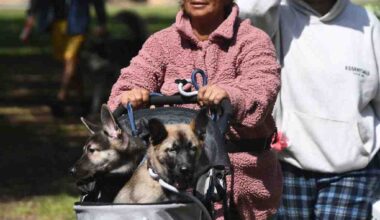 Councilmember Rodriguez held a Pet Resource and Blessing of the Animals in Mission Hills – Daily News
