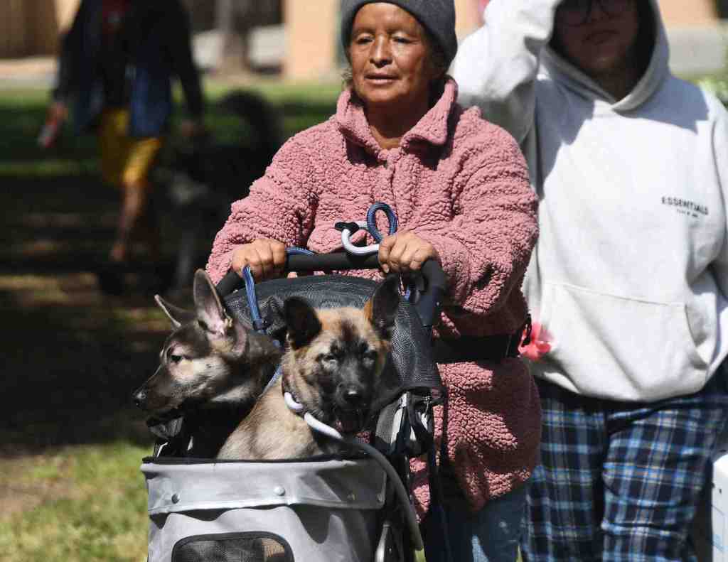 Councilmember Rodriguez held a Pet Resource and Blessing of the Animals in Mission Hills – Daily News