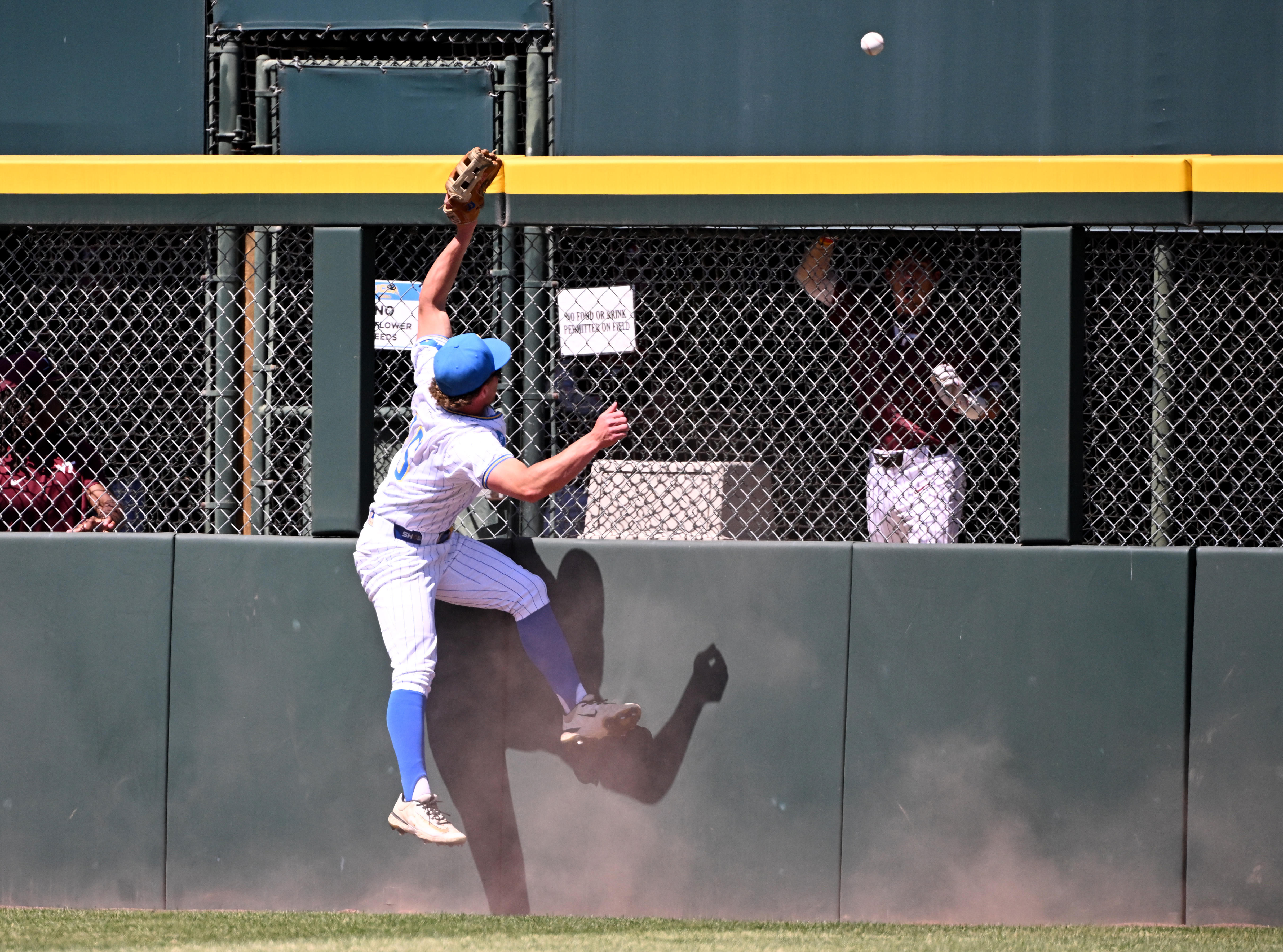 UCLA right fielder Jarrod Hocking canât reach a ball that...