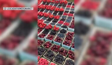 Leucadia Farmers Market move sparks neighbor concerns – NBC 7 San Diego