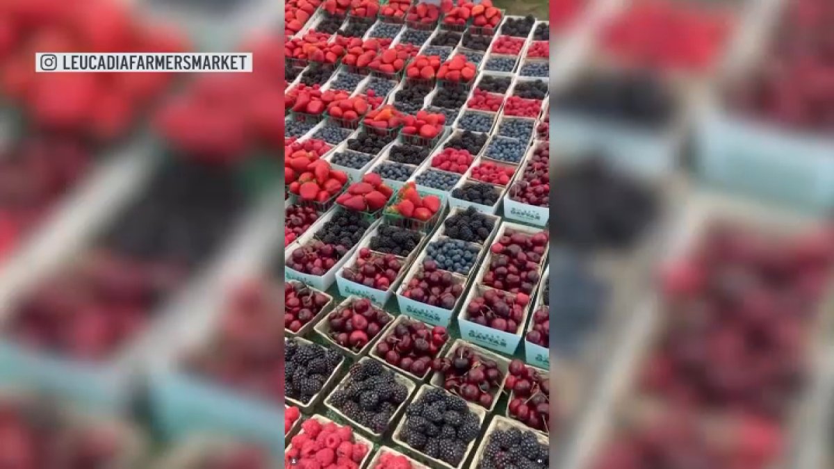 Leucadia Farmers Market move sparks neighbor concerns – NBC 7 San Diego