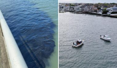 30K gallons of nasty sewage waste accidentally unloaded in Long Island waterway