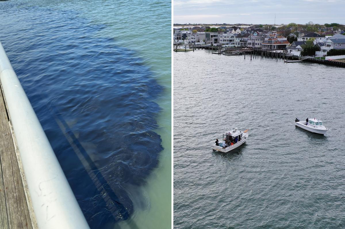 30K gallons of nasty sewage waste accidentally unloaded in Long Island waterway