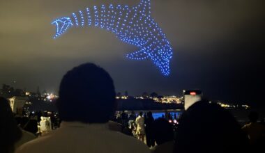 Drone show, velellas, medical news, Waverly Wall, more – San Diego Union-Tribune