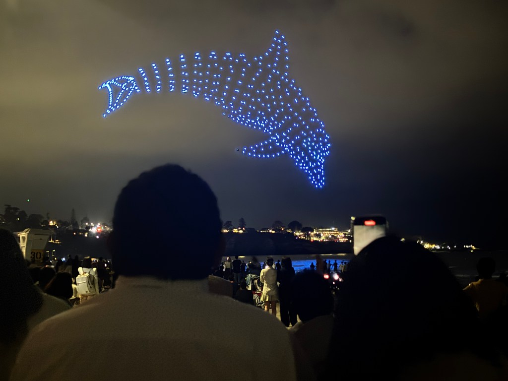 Drone show, velellas, medical news, Waverly Wall, more – San Diego Union-Tribune