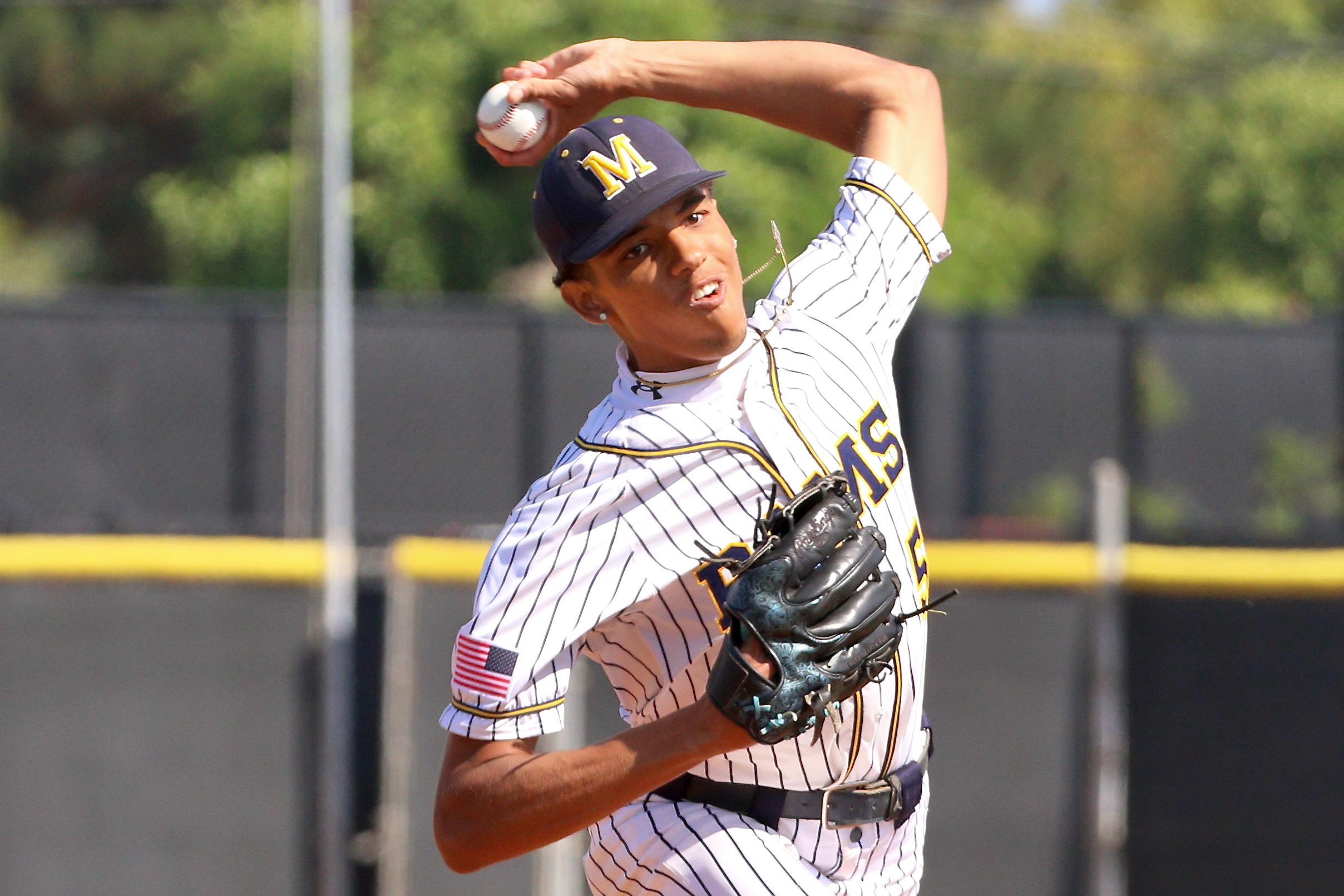 Millikan starter Daunte Bell faces Summit in Division 3 quarterfinal...