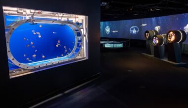 Jellyfish float through Aquarium of the Pacific in a new immersive exhibit – Daily News