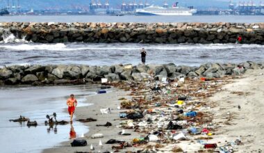 San Gabriel River, LA River will get trash interceptors to combat ocean and beach pollution – Daily Breeze