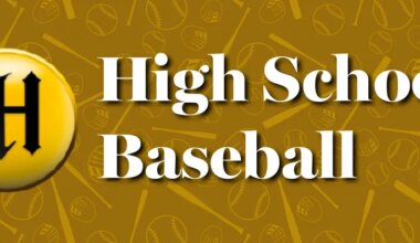 CCS DII baseball finals: Palma succumbs to Mitty – Monterey Herald