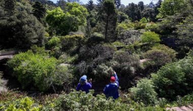 A great place to visit on Mother’s Day – Marin Independent Journal
