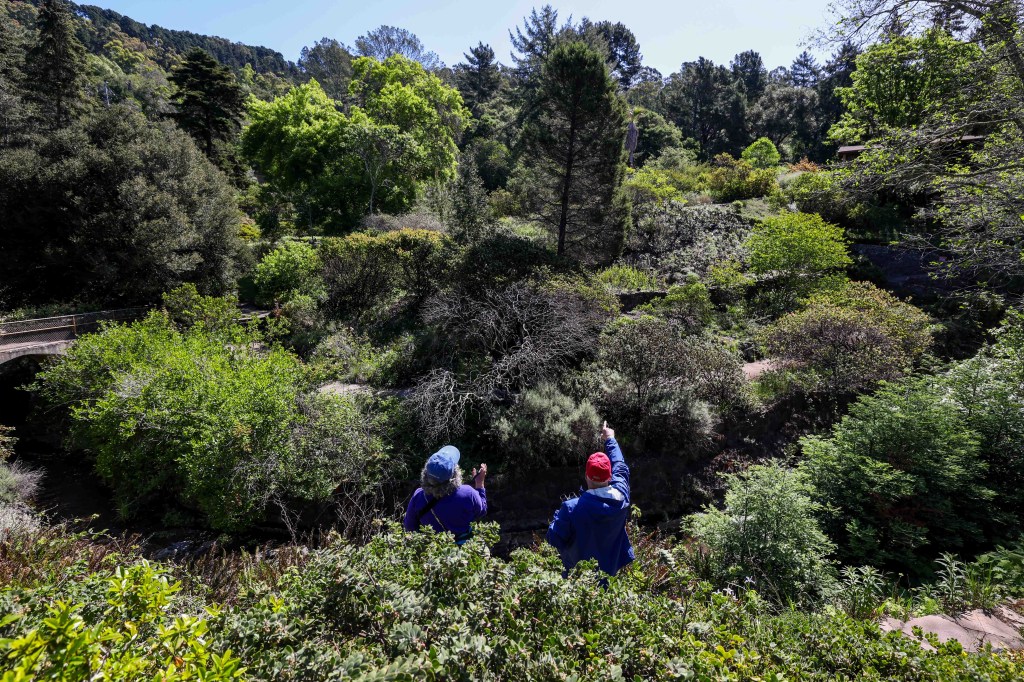 A great place to visit on Mother’s Day – Marin Independent Journal