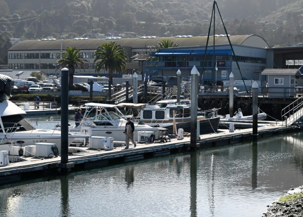 Boats are docked in Clipper Yacht Harbor in the Marinship area of Sausalito, Calif., on Friday, Feb. 13, 2026. (Alan Dep/Marin Independent Journal)