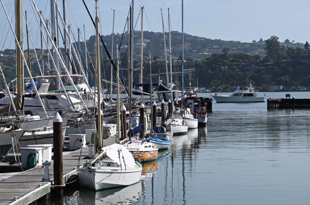 Sausalito blocks marina owner from expanding