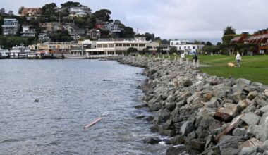 Tiburon picnic to usher in Pride Month