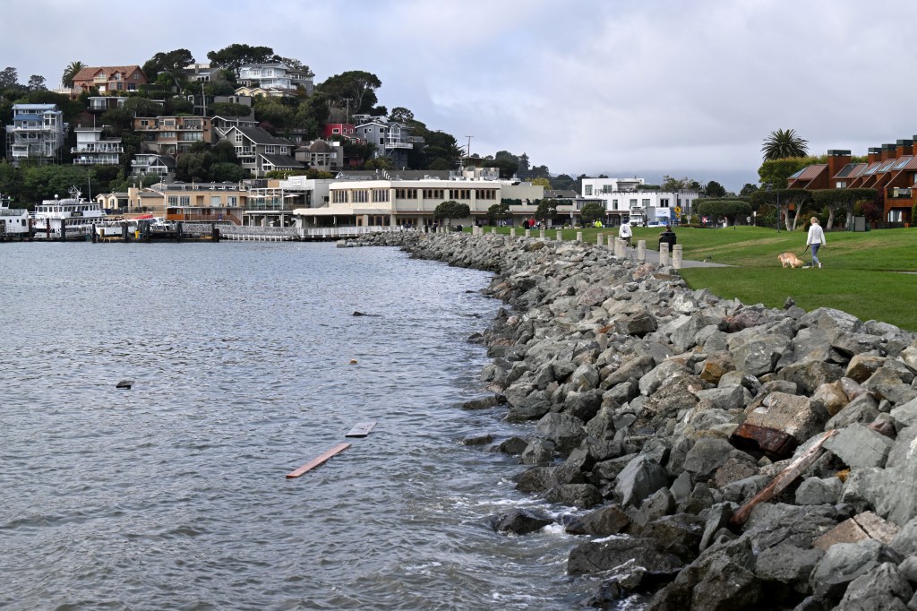 Tiburon picnic to usher in Pride Month