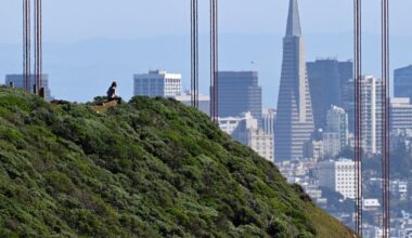 San Francisco edges LA in post-pandemic recovery
