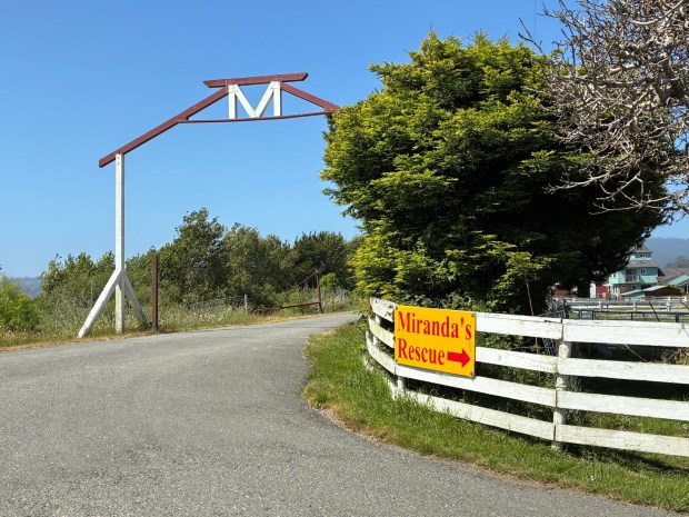 Miranda's Rescue, a shelter in Fortuna, is under investigation for animal cruelty and fraud, according to the Humboldt County Sheriff's Office. (Ruth Schneider The Times-Standard)