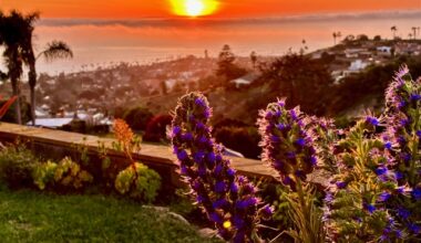 Photos of the Week: Looking at La Jolla through our readers’ eyes – San Diego Union-Tribune