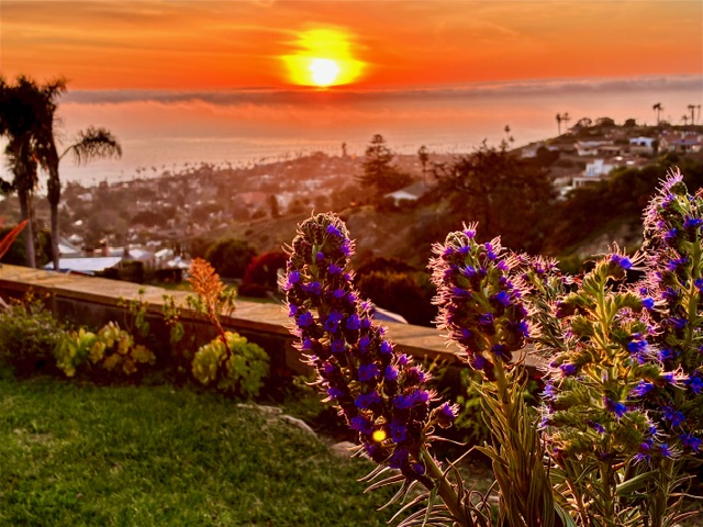 Photos of the Week: Looking at La Jolla through our readers’ eyes – San Diego Union-Tribune