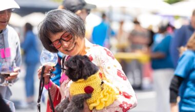 Fee-waived Pet Adoptions and Pints for Paws Beer Festival – NBC Bay Area