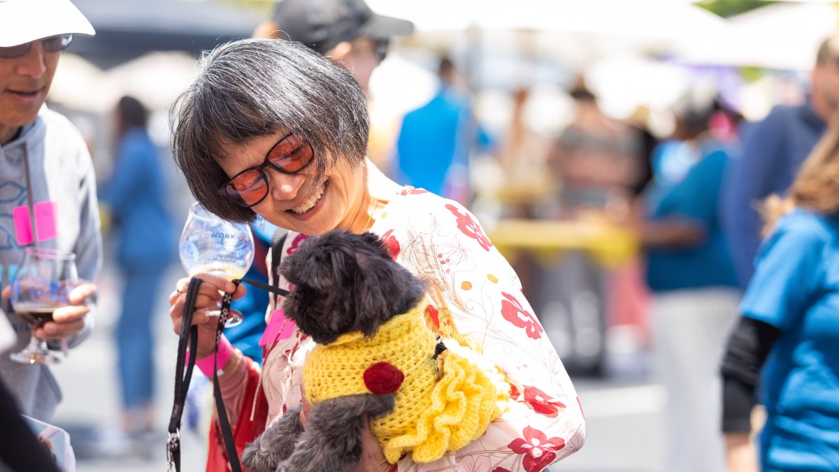 Fee-waived Pet Adoptions and Pints for Paws Beer Festival – NBC Bay Area