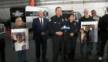 Man, 65, dies in hit-and-run while visiting Los Angeles for baseball series