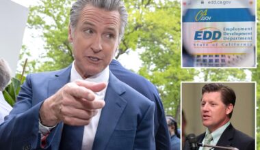 Tax hike on California employers spurs plea for help to cover Gavin Newsom’s ‘failures’