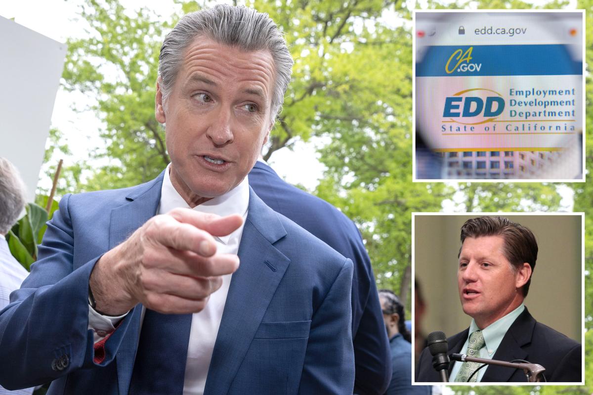 Tax hike on California employers spurs plea for help to cover Gavin Newsom’s ‘failures’