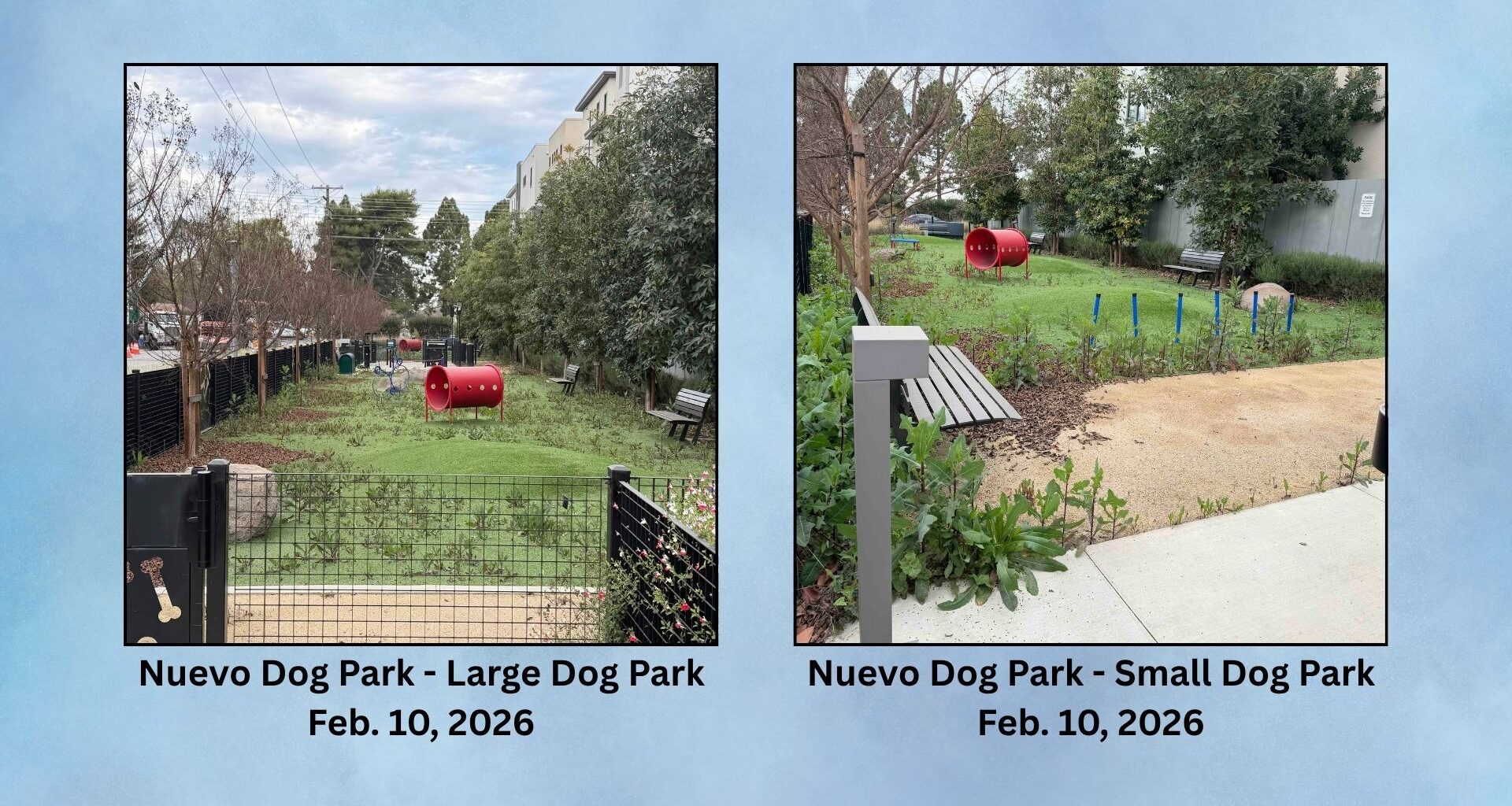 Santa Clara reopened Jenny Strand dog park after poison was discovered there in early May, but it still has not reopened Nuevo Dog park.
