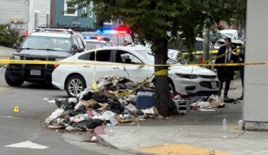 Police shoot driver trying to flee traffic stop