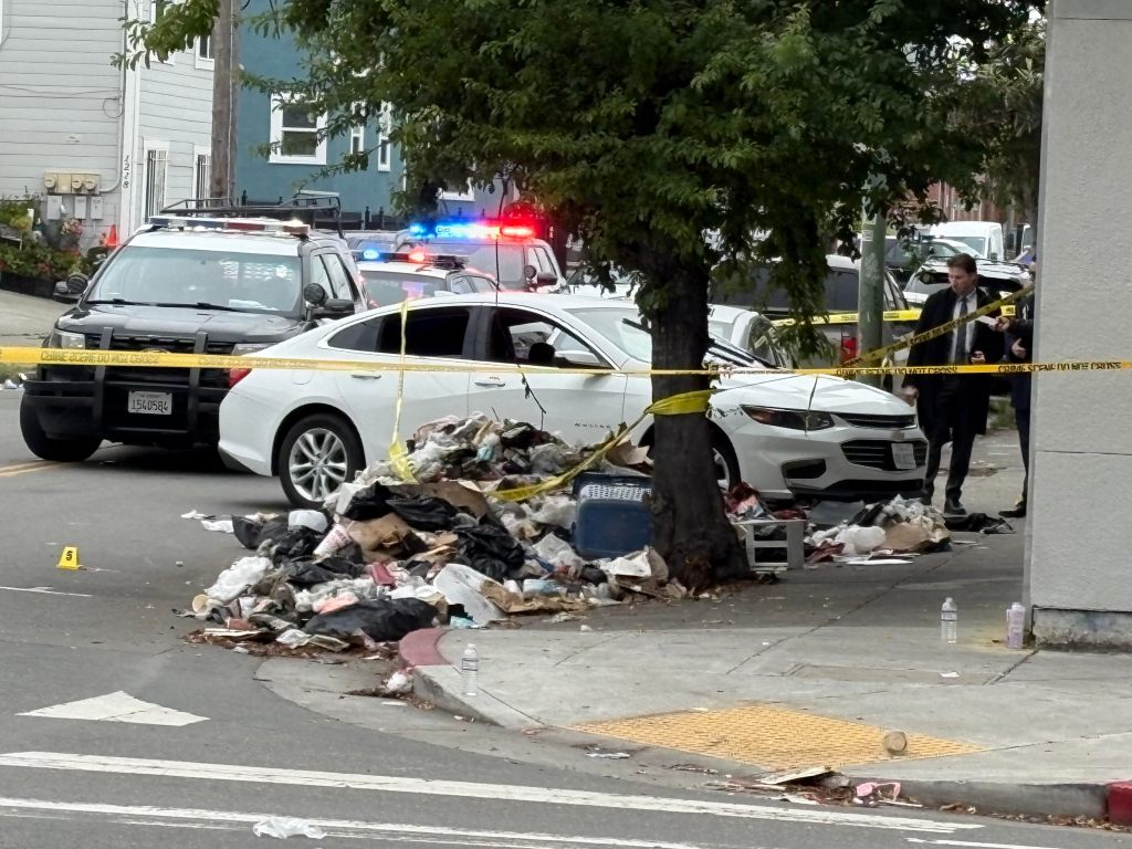 Police shoot driver trying to flee traffic stop