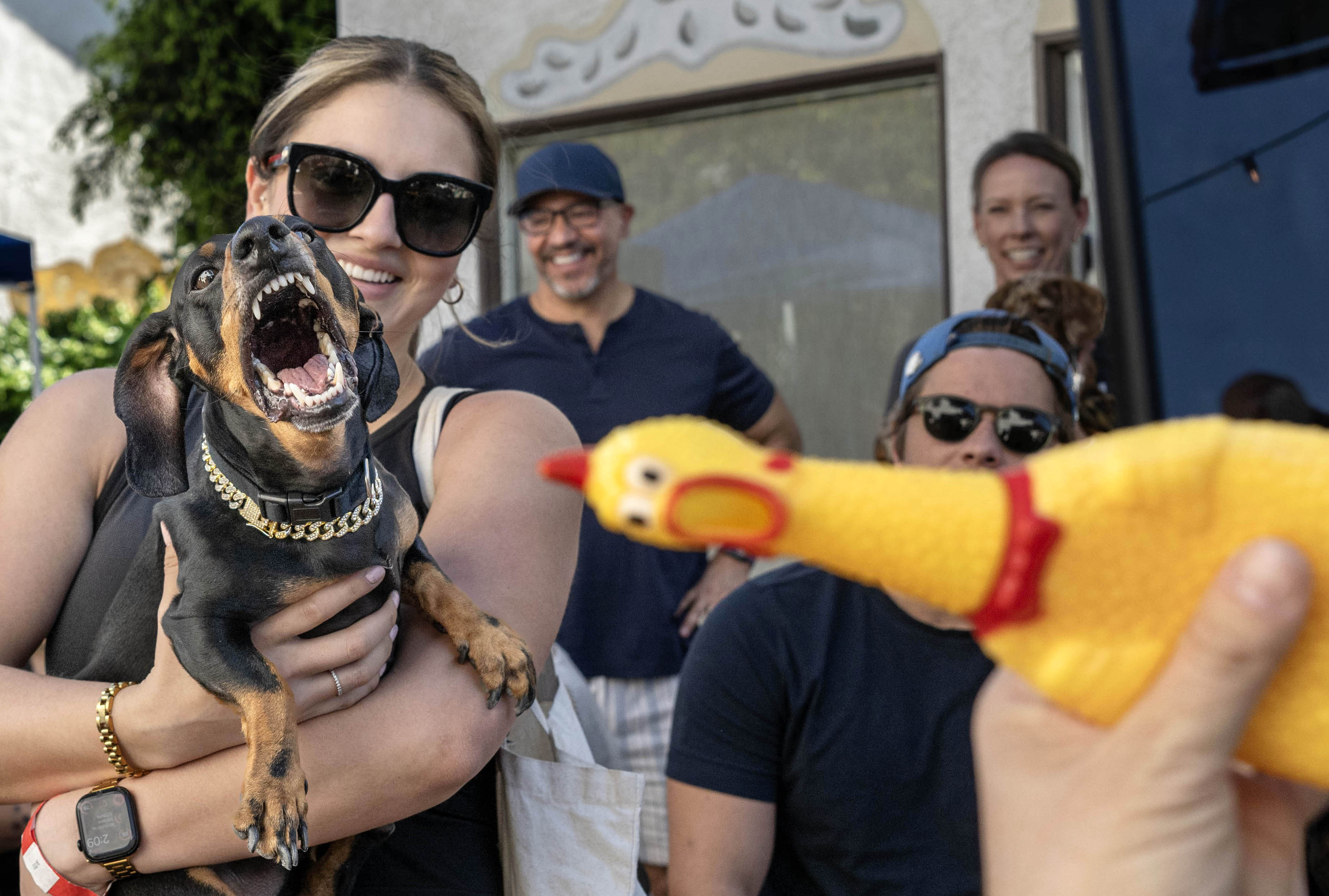Lisa Alvillarâs dog, Sonny, gets photographed after taking second place...