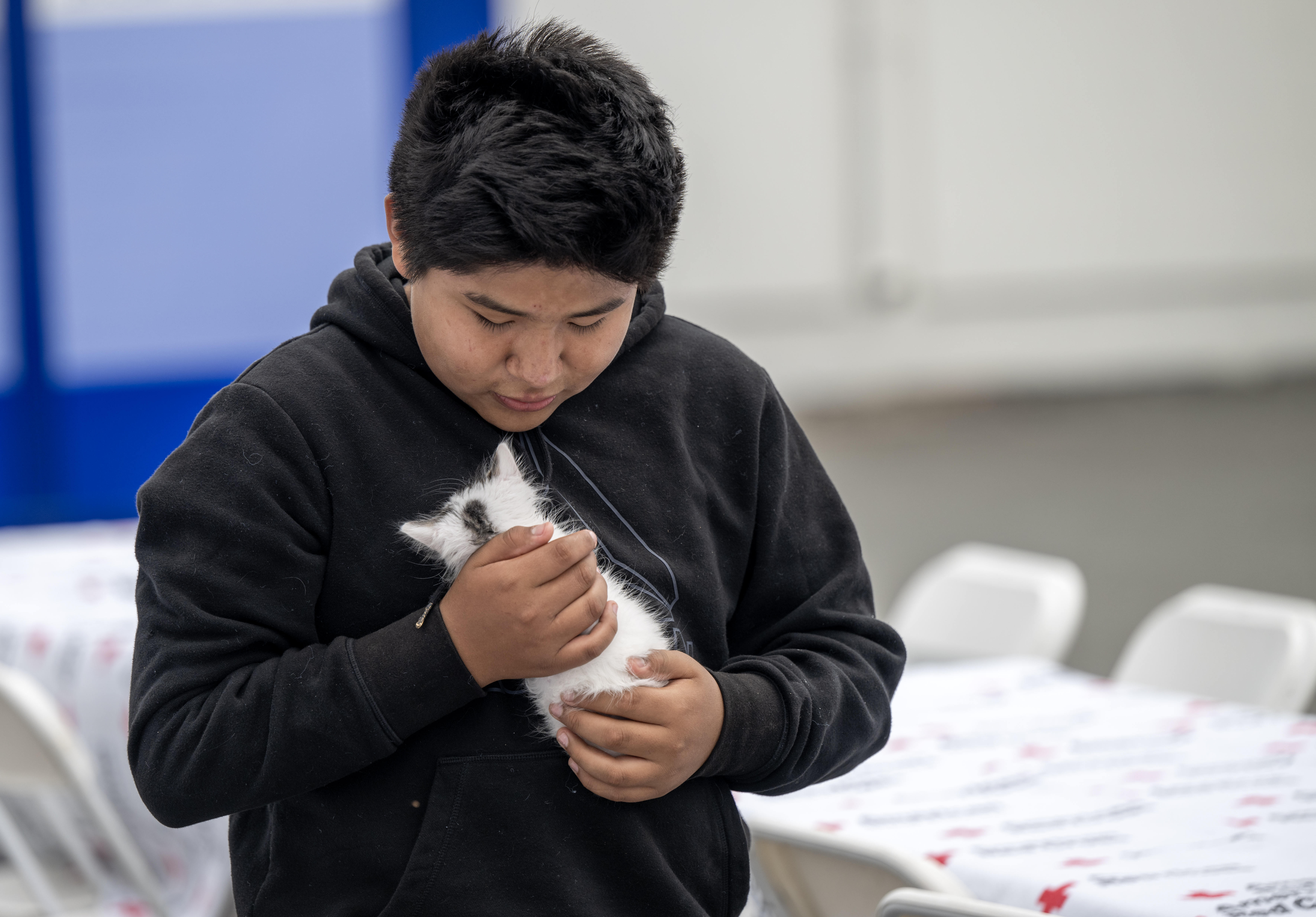 Guillermo Chauca of Stanton holds his one-month-old kitten, Copeto, as...