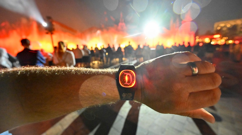 One size does not fit all for Disney fans – Orange County Register