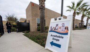 OC pays $450,000 to shelter volunteer who was mauled by a dog – Orange County Register